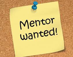 Mentor wanted